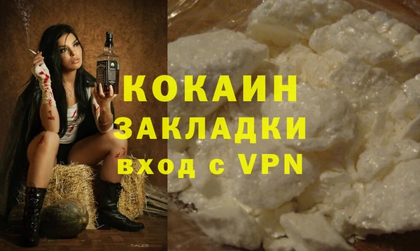 COCAINE Богородицк